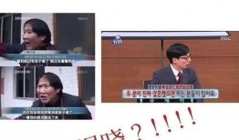 记者爆料大瓜是真的吗视频,真相揭秘，视频内容真实性分析